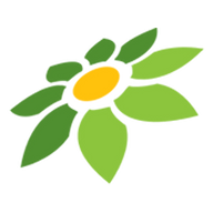 LINK SUPER SCATTER
